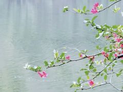 -重庆彩云湖湿地公园
