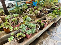 -四姑娘山阿巴郎·藏式花园餐厅