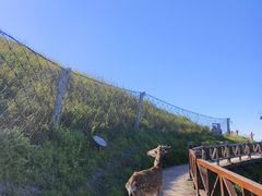 -萍乡武功山风景名胜区