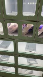 -复旦大学附属妇产科医院(杨浦院区)