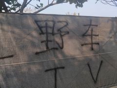 -天下先生态园农庄CS团建露营地(海鸥岛店)