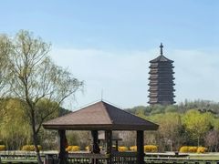 -永定河休闲森林公园