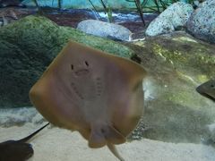 -新加坡海洋生态馆