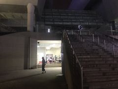 -重庆市奥林匹克体育中心-游泳跳水馆