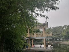 -晓港公园