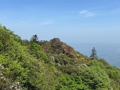 -大围山国家森林公园