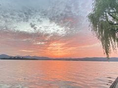 -柳莺湖上·湖景餐厅·江南菜(西湖店)