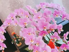 -秦美花卉(天朗·莱茵小城2期店)