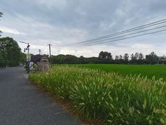 -嘉北郊野公园