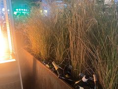 -IL Forno 意坊·意大利餐厅(花园店)