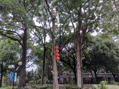 -云溪植物园