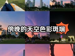 -二沙岛艺术公园