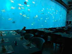 -瑞德姆美人鱼海底演艺主题餐厅(亚龙湾店)
