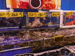-四海之家(蛇口店)