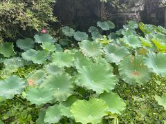 -千岛湖东南湖区