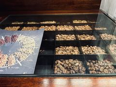-野鸽子咖啡(航空路店)