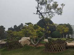 -中国唐苑