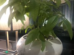 -新盈光·云会所(百丈东路店)