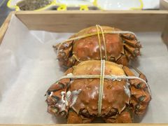 -黄记大闸蟹专卖店·活蟹·醉蟹