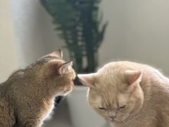 -山之尖健身