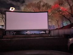 -枫花园汽车电影院(朝阳公园店)