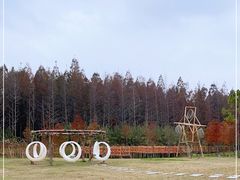 -黄海国家森林公园