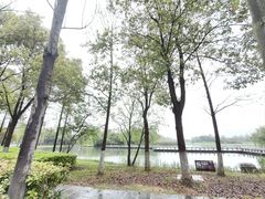 -洋湖国家湿地公园