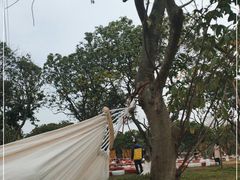 -长洲岛都市农业公园