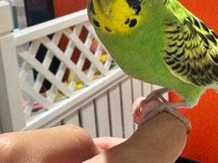 -深圳龙华星河COCO City(民治店)