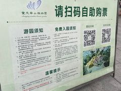 -南山植物园