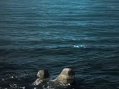 -西涌国际滨海旅游区