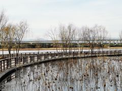 -绿堤公园
