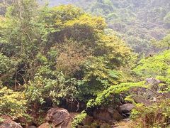 -马峦山郊野公园