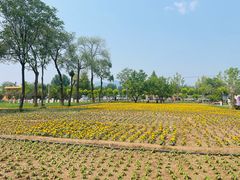 -辛庄国际文化艺术区