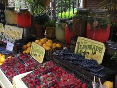 -The Grounds of Alexandria