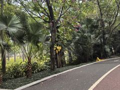 -南宁南湖公园