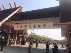 -上海野生动物园老虎餐厅