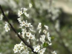 -南京市无想山景区