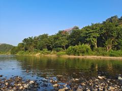 -广州市流溪河国家森林公园