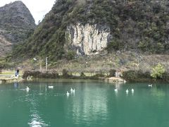 -靖西鹅泉风景区