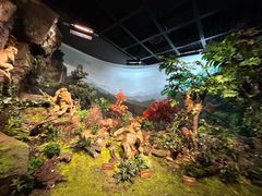 -陕西自然博物馆