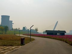 -永定河休闲森林公园