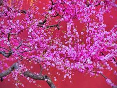 -北京市劳动人民文化宫(太庙)