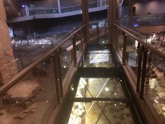 -元代水闸遗址博物馆