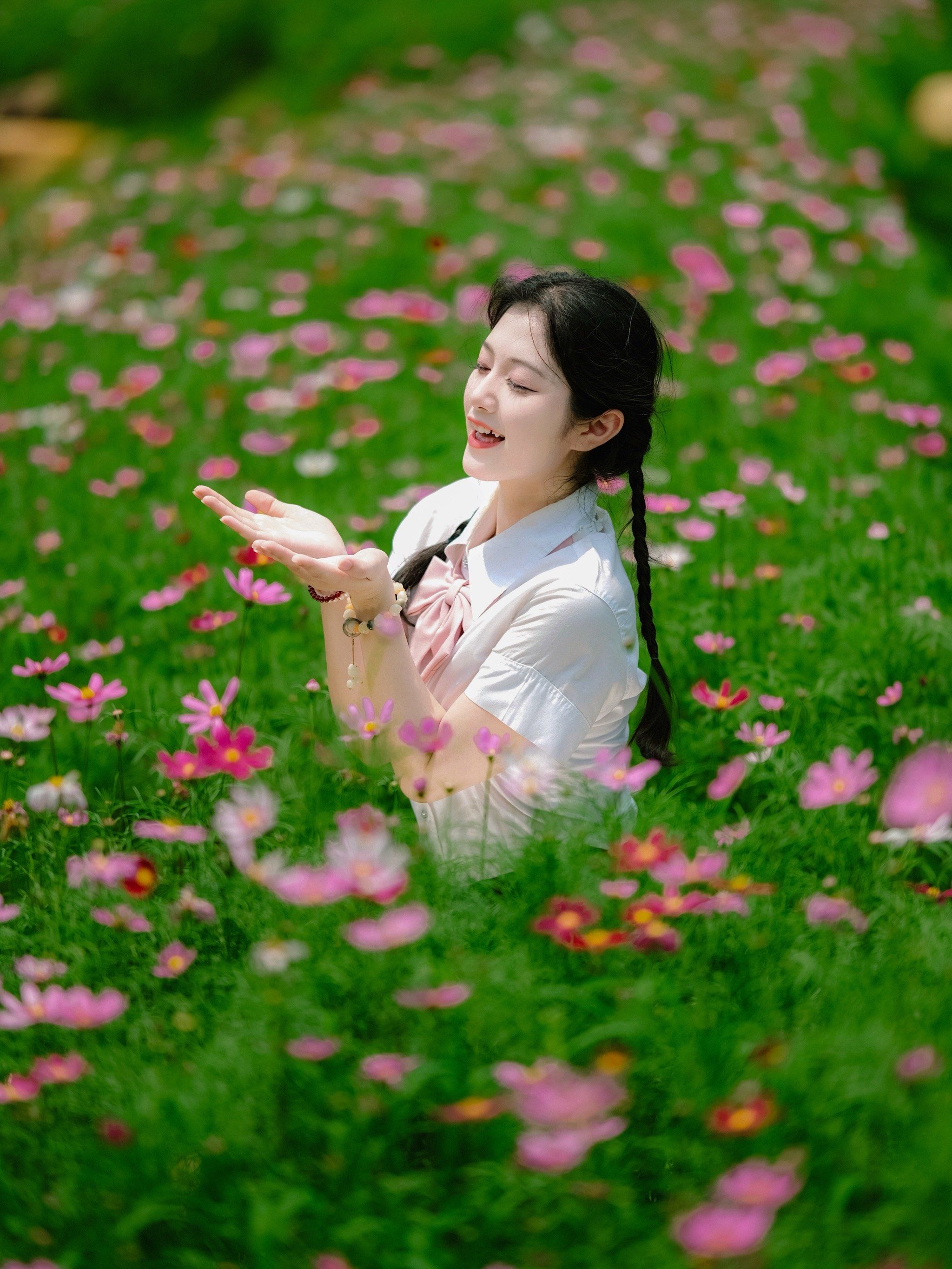 五一假期可以去园博园拍波斯菊花海了