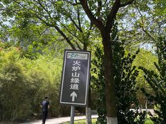 -火炉山森林公园