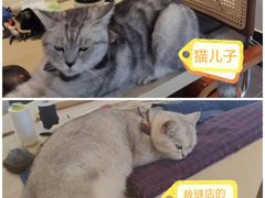 -阿毛饭店首店·宁波老字号(文化广场店)
