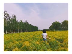 -天津武清北运河郊野公园房车露营地