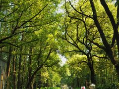 -杭州西湖柳莺里酒店·闻莺厅