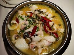-Aqua Oasis 水天堂(石路天虹店)